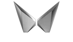 Roshna Chettri company