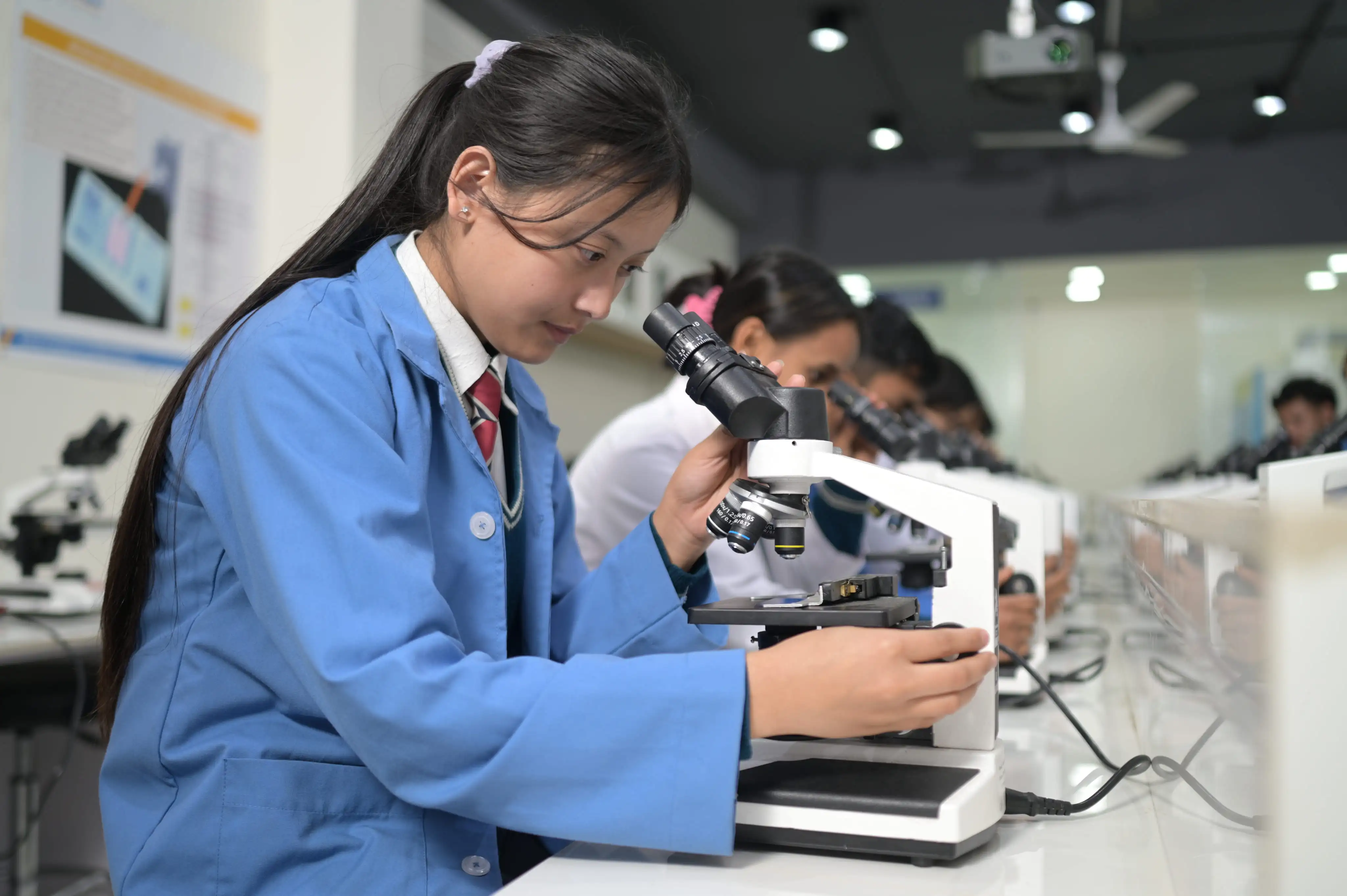 Career Pathways (Work Integrated Programs)