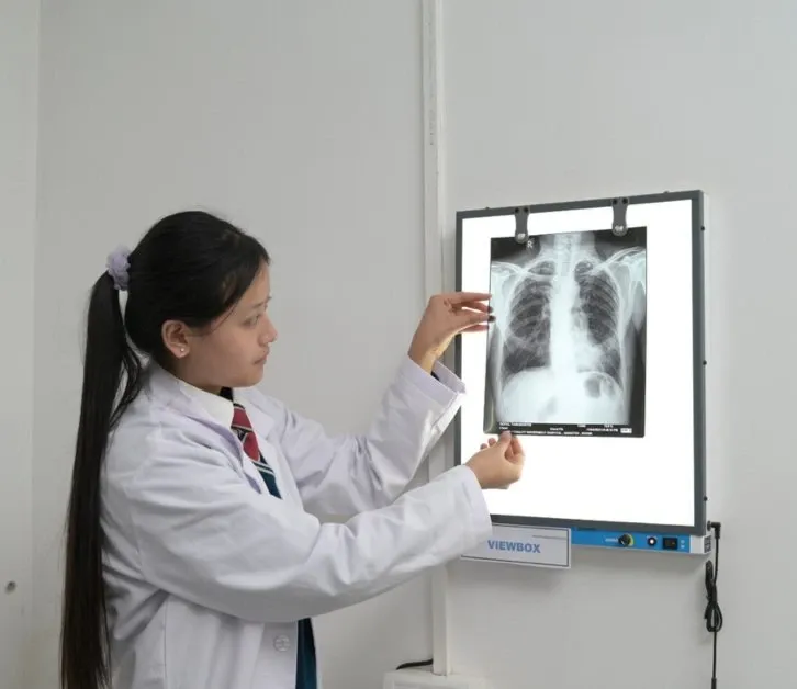 X-Ray View Box