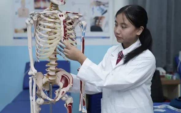 Human Anatomy Labs