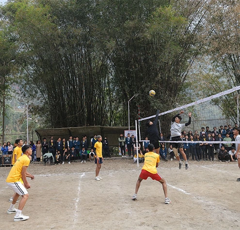 sports-7