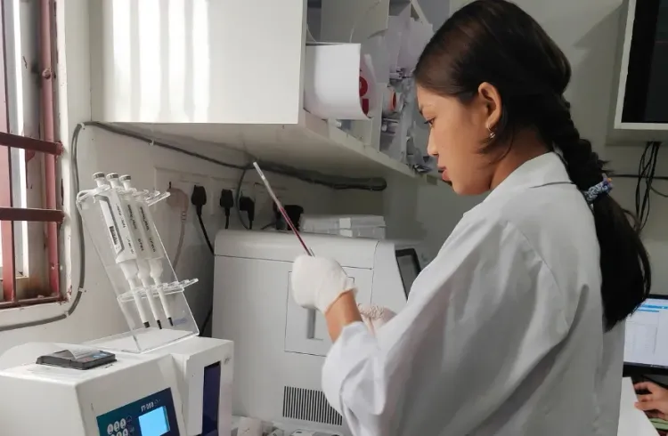 Student operating automated analyser