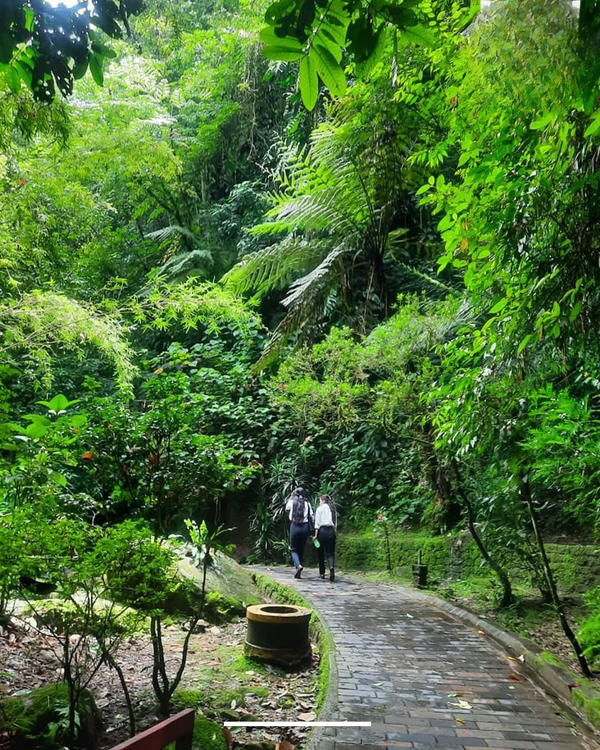 Untitled design (19).png
