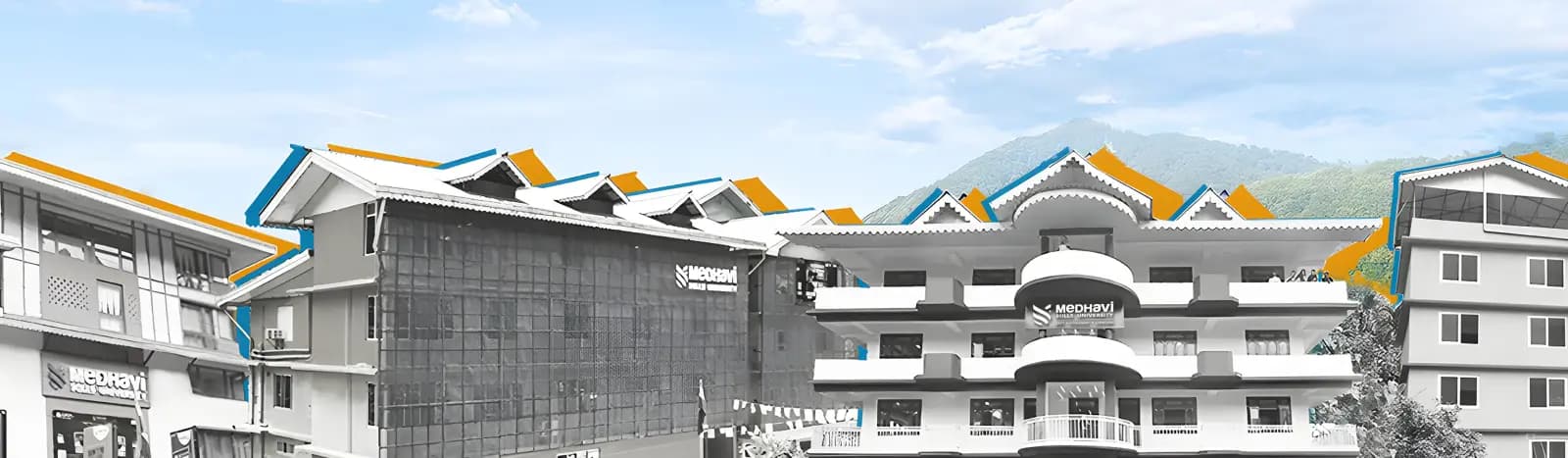 Statutory Committees